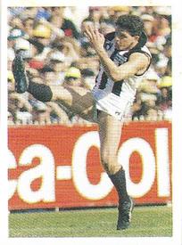 1991 Select AFL Stickers #74 Scott Russell Front